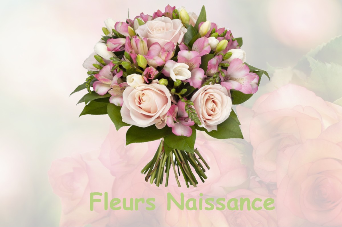 fleurs naissance COUCY-LE-CHATEAU-AUFFRIQUE
